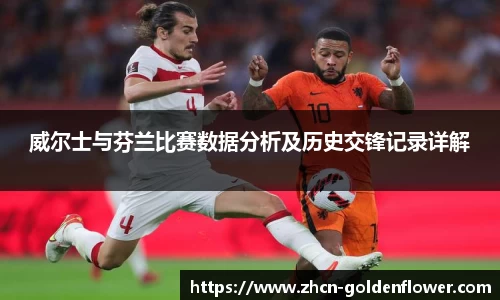 威尔士与芬兰比赛数据分析及历史交锋记录详解