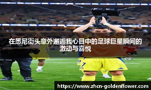 在悉尼街头意外邂逅我心目中的足球巨星瞬间的激动与喜悦